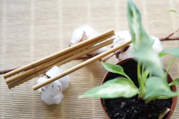 Paille longue réutilisable bambou – Image 3