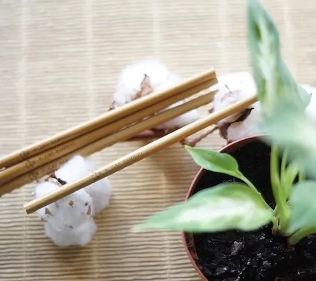 paille longue bambou