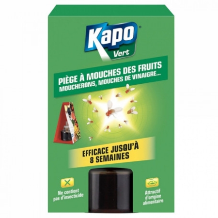 pieges mouches fruit