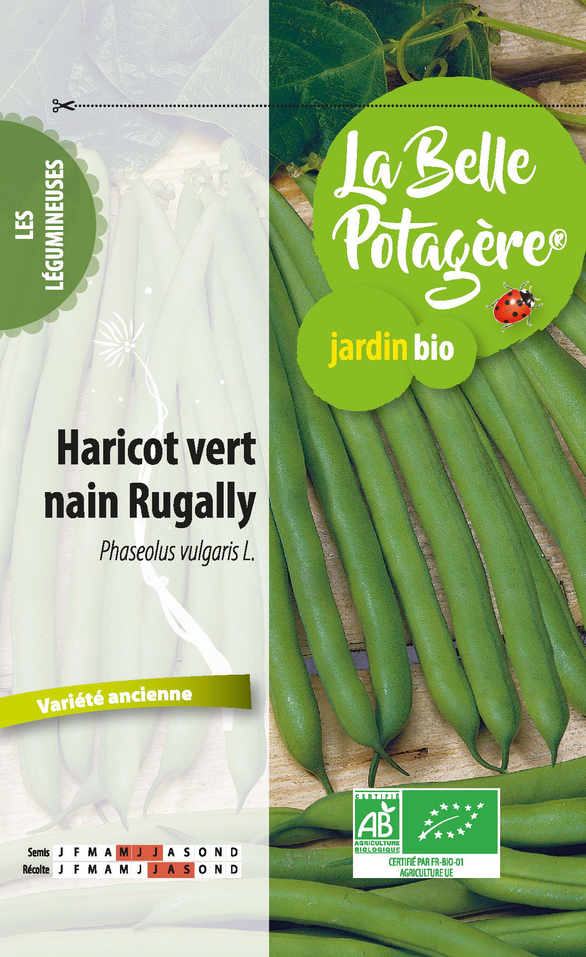 Haricot nain vert Rugally