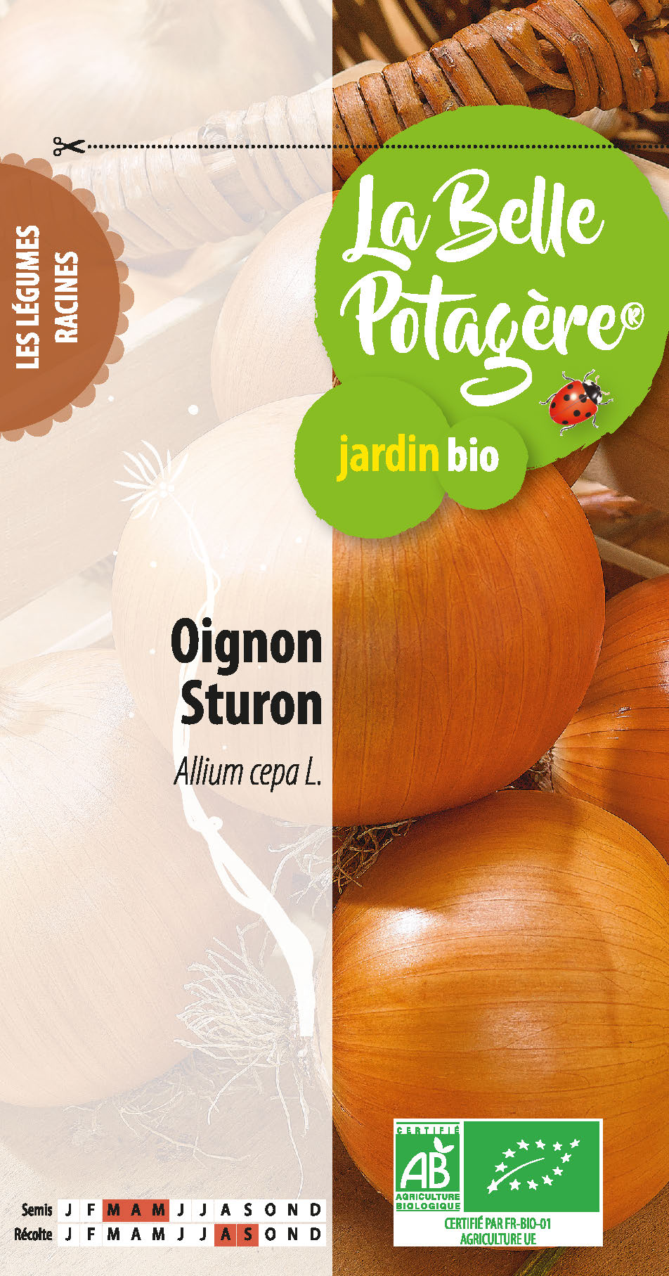 Oignon Sturon