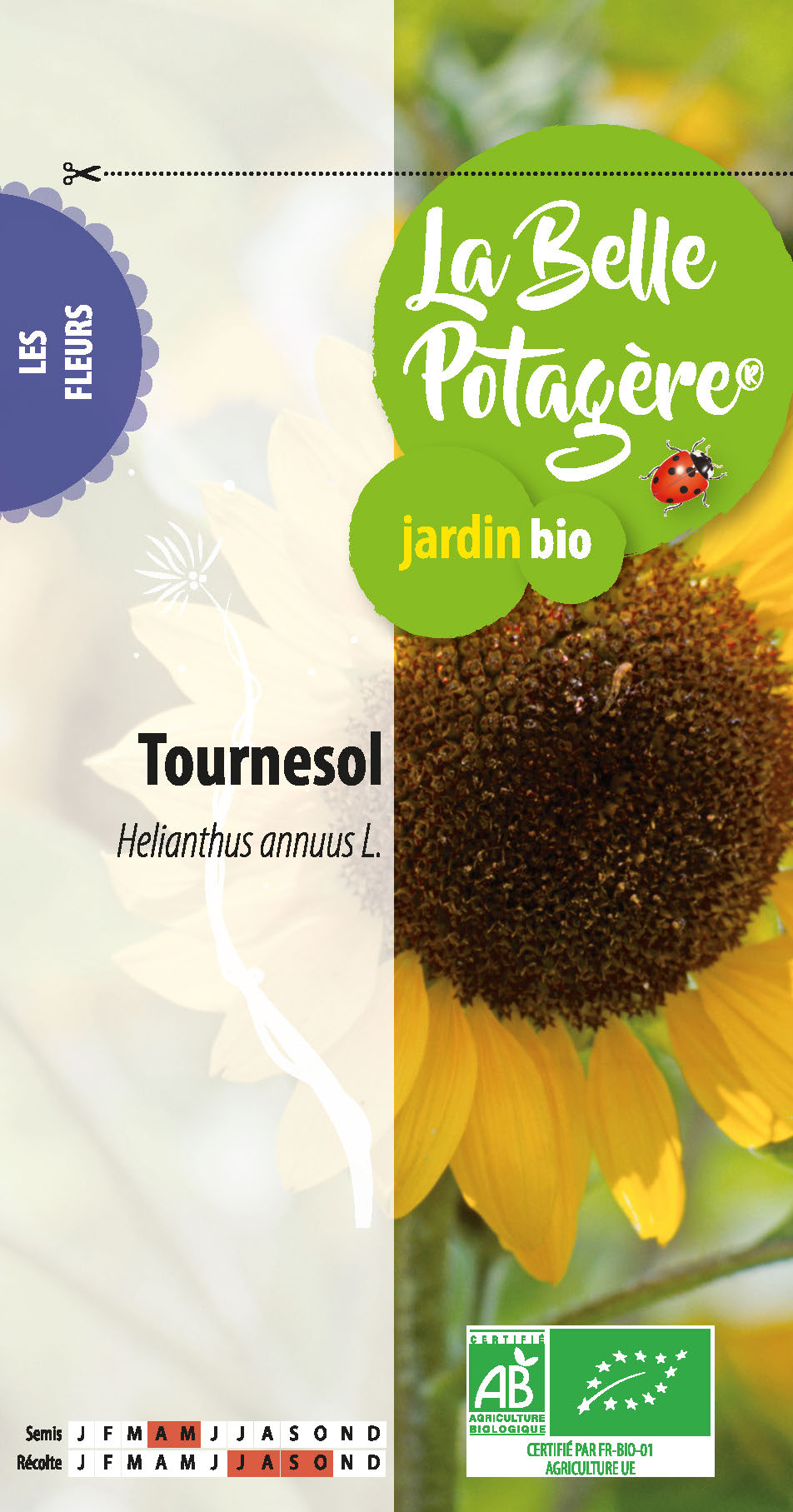 Tournesol