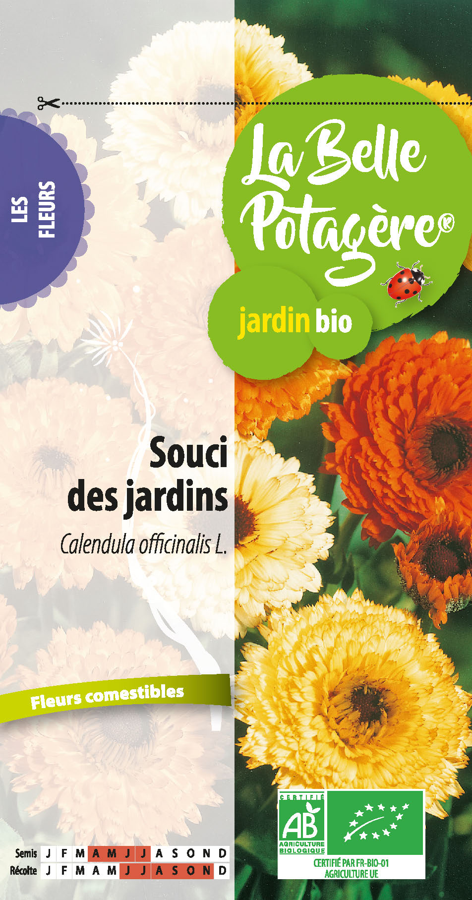 Souci des jardins