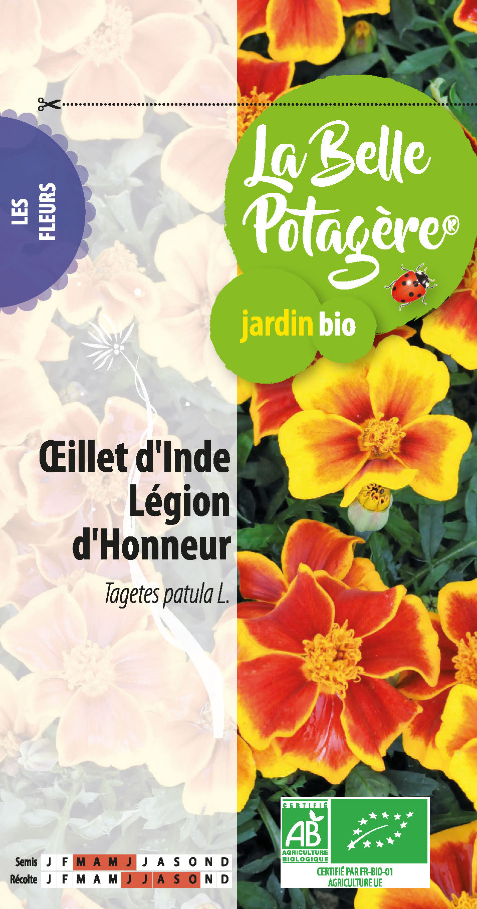 Œillet d'inde légion d'honneur