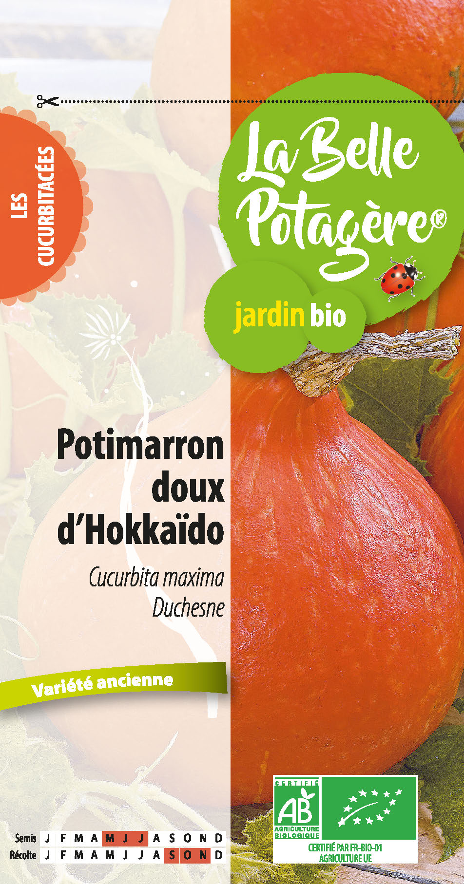 Potimarron doux d'Hokkädo