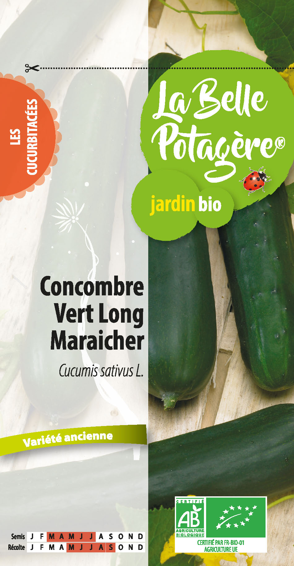 Concombre Vert Long Maraicher
