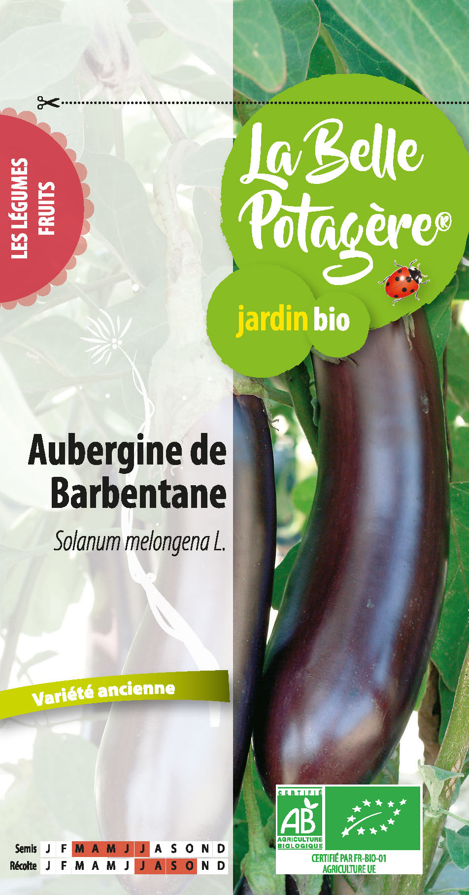 Aubergine de Barbentane