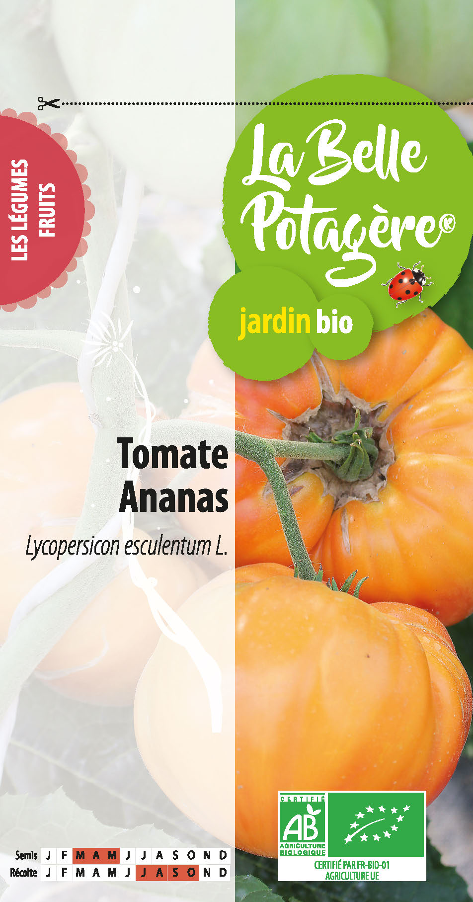 Tomate Ananas