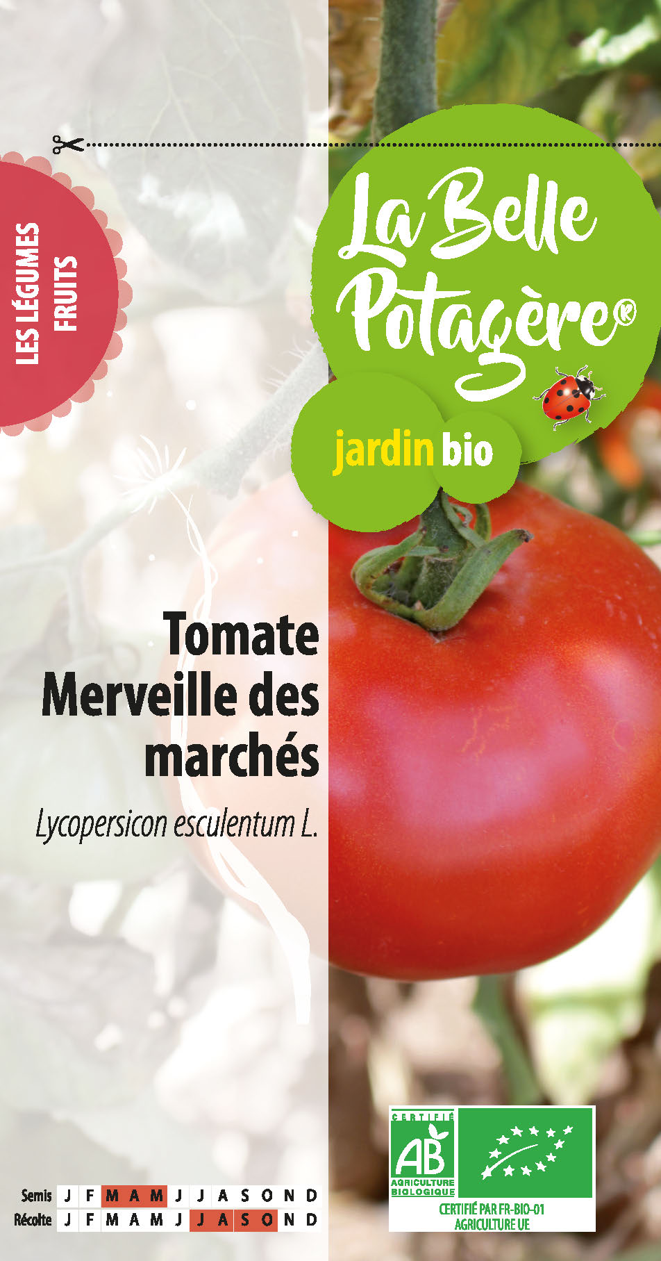 Tomate Merveille des Marchés