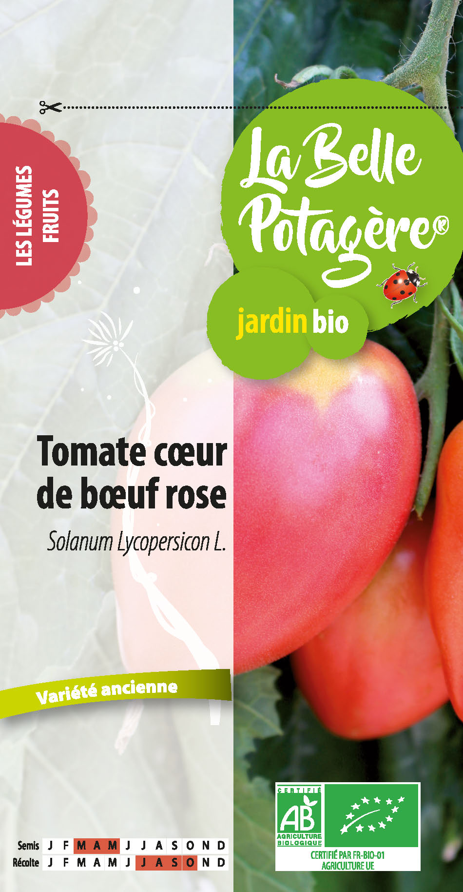 Tomate coeur de boeuf rose