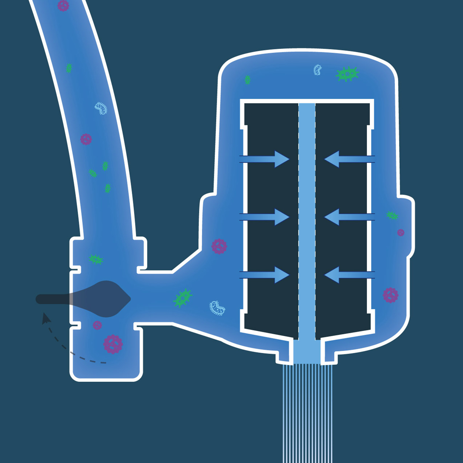 Filtre-Robinet HYDROPURE Serenity – Image 7