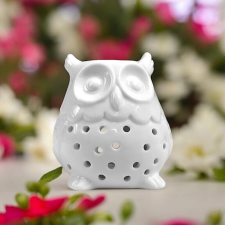 brule parfum hibou