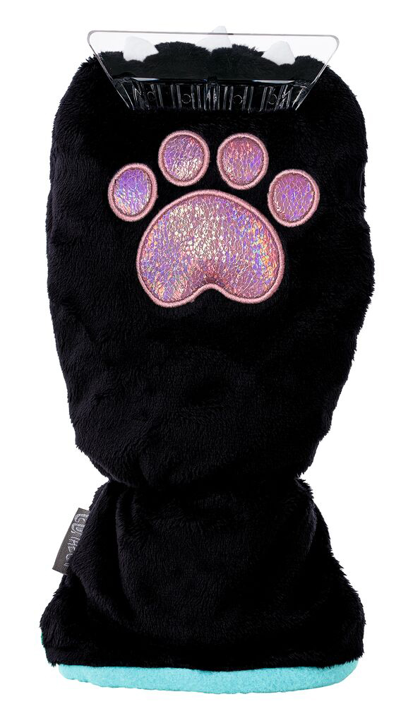 grattoir voiture chat noir