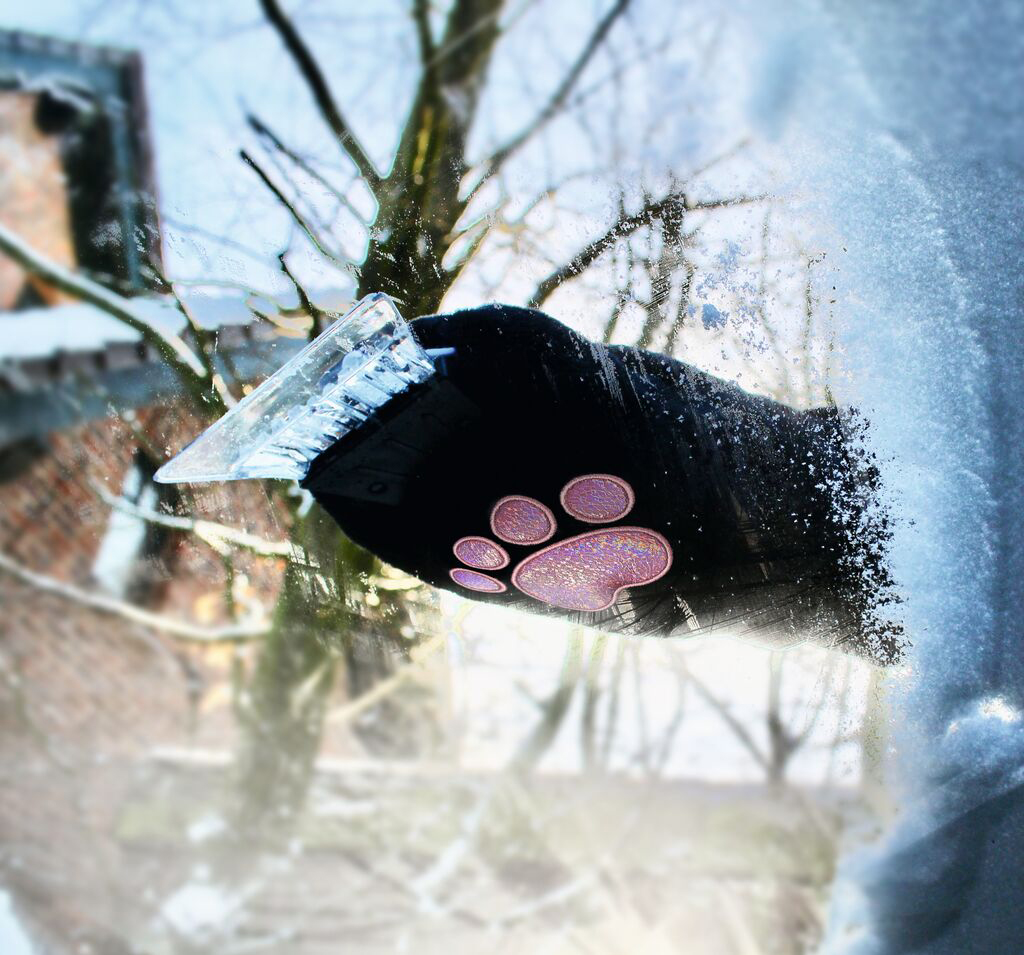 Grattoir - Chat noir – Image 4